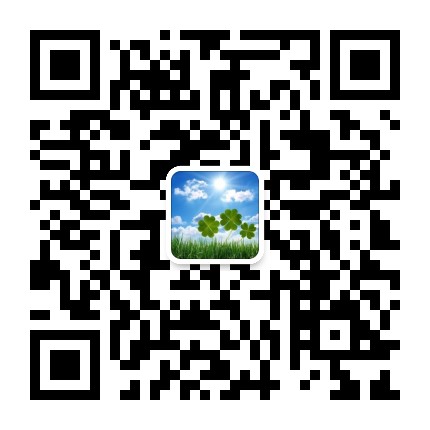 the qr code