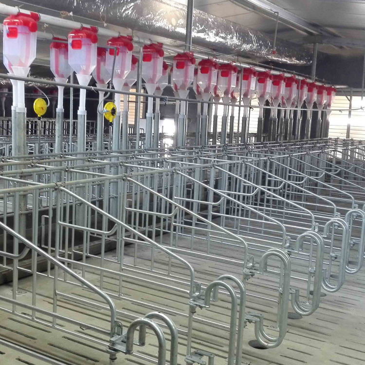 Gestation cage
