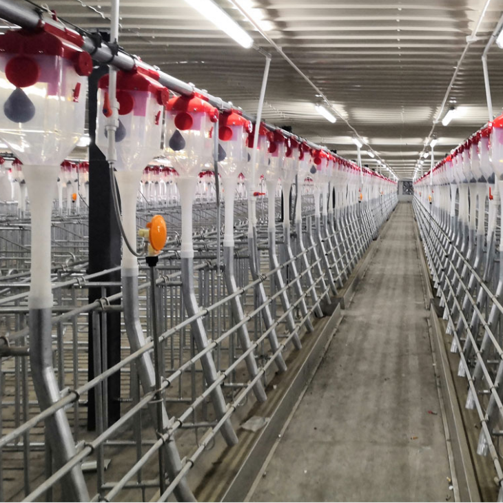 automatic feeding line 
