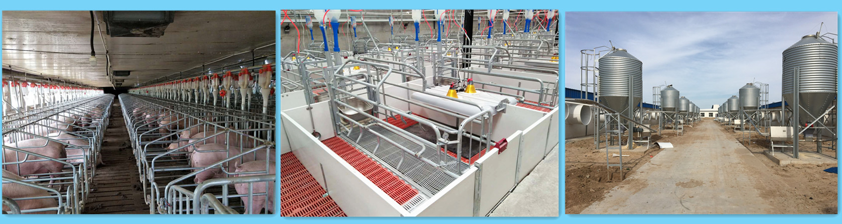Pig farming equipment 