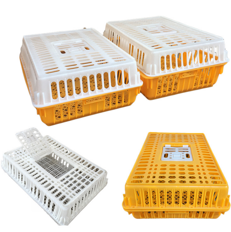 Adult chicken Transport Cage 