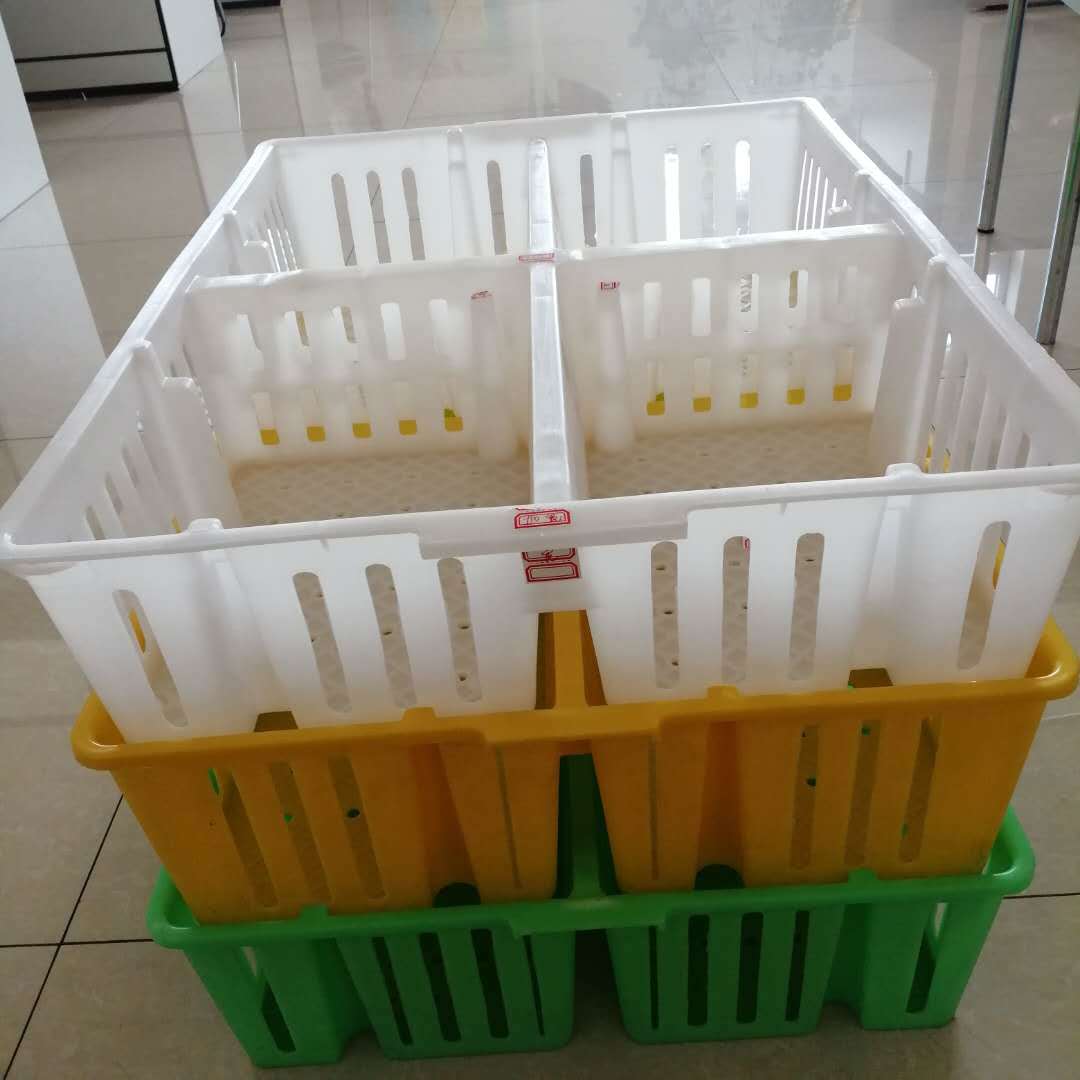  plastic chick transport box