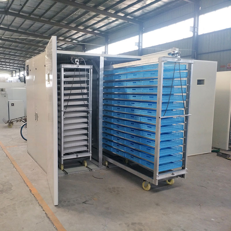 chicken egg incubator