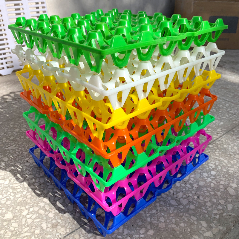 eggs tray